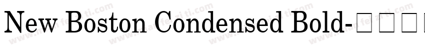 New Boston Condensed Bold字体转换